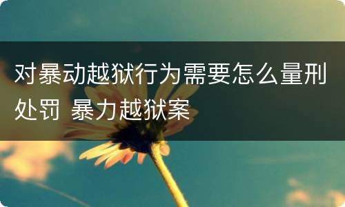 对暴动越狱行为需要怎么量刑处罚 暴力越狱案