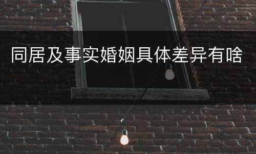 同居及事实婚姻具体差异有啥