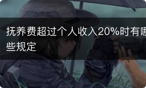 抚养费超过个人收入20%时有哪些规定