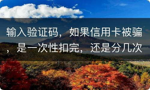 输入验证码，如果信用卡被骗，是一次性扣完，还是分几次扣
