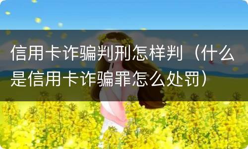 信用卡诈骗判刑怎样判（什么是信用卡诈骗罪怎么处罚）