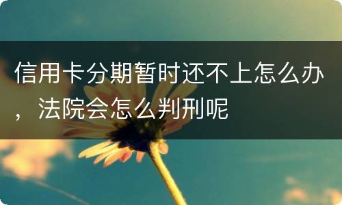 信用卡分期暂时还不上怎么办，法院会怎么判刑呢