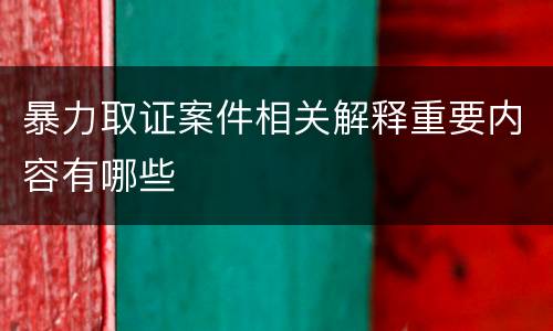 暴力取证案件相关解释重要内容有哪些