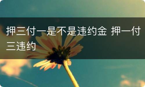 押三付一是不是违约金 押一付三违约