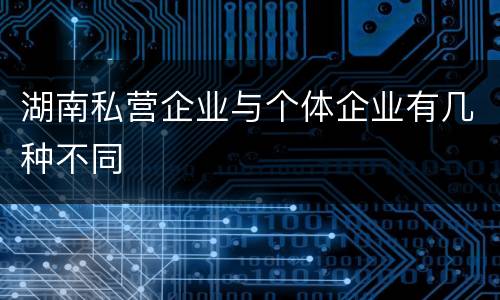 湖南私营企业与个体企业有几种不同