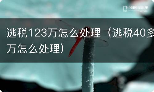 逃税123万怎么处理（逃税40多万怎么处理）