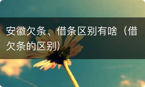 安徽欠条、借条区别有啥（借欠条的区别）