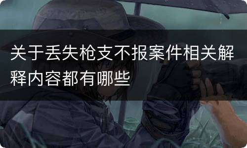 关于丢失枪支不报案件相关解释内容都有哪些