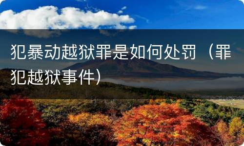 犯暴动越狱罪是如何处罚（罪犯越狱事件）