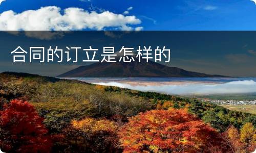 合同的订立是怎样的