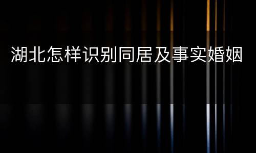 湖北怎样识别同居及事实婚姻