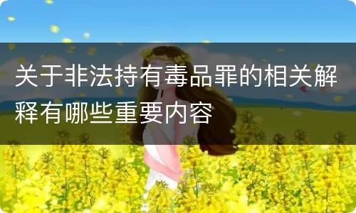 关于非法持有毒品罪的相关解释有哪些重要内容