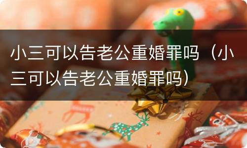 小三可以告老公重婚罪吗（小三可以告老公重婚罪吗）