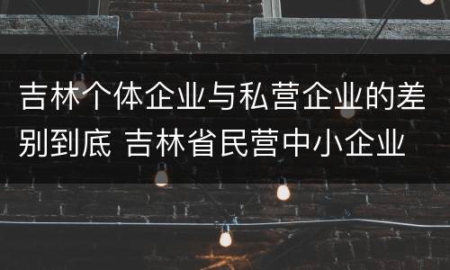吉林个体企业与私营企业的差别到底 吉林省民营中小企业