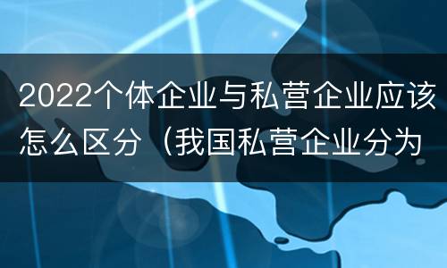 2022个体企业与私营企业应该怎么区分（我国私营企业分为什么）