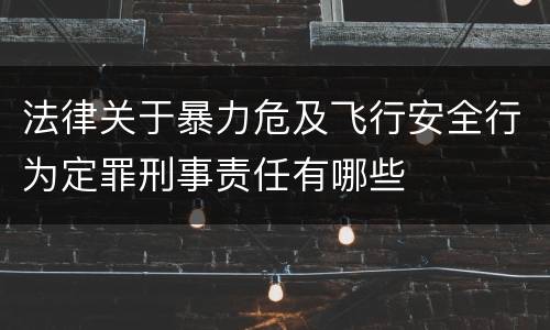 法律关于暴力危及飞行安全行为定罪刑事责任有哪些