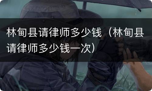 林甸县请律师多少钱（林甸县请律师多少钱一次）
