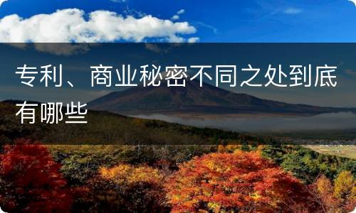 专利、商业秘密不同之处到底有哪些