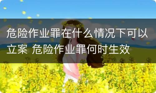 危险作业罪在什么情况下可以立案 危险作业罪何时生效