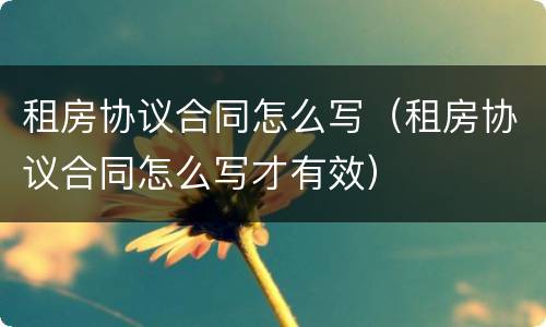 租房协议合同怎么写（租房协议合同怎么写才有效）