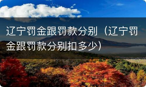 辽宁罚金跟罚款分别（辽宁罚金跟罚款分别扣多少）