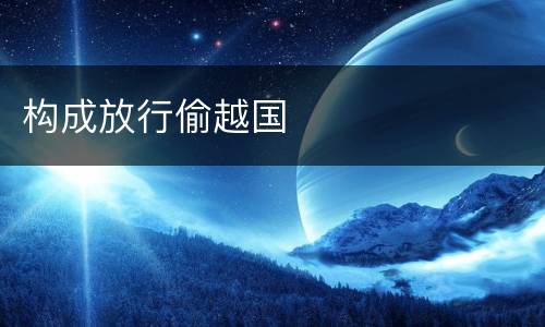 构成放行偷越国