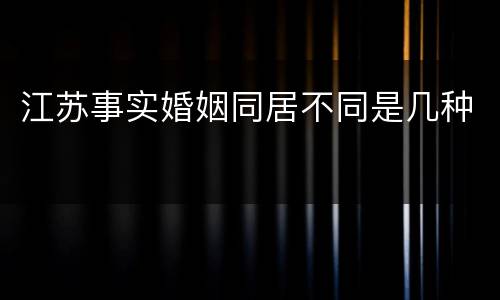 江苏事实婚姻同居不同是几种