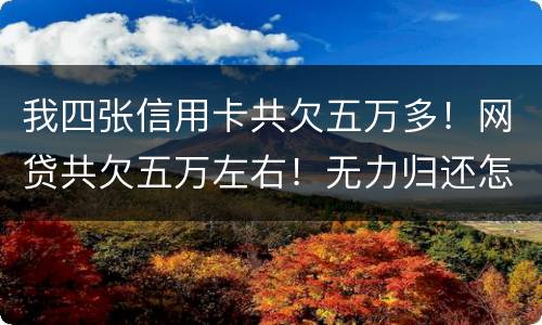 我四张信用卡共欠五万多！网贷共欠五万左右！无力归还怎么办
