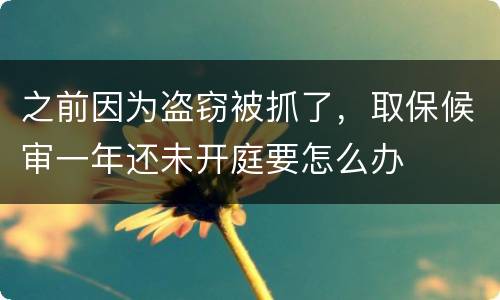 之前因为盗窃被抓了，取保候审一年还未开庭要怎么办