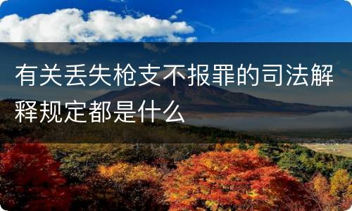 有关丢失枪支不报罪的司法解释规定都是什么