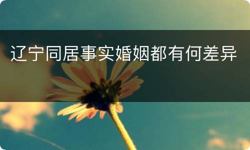 辽宁同居事实婚姻都有何差异