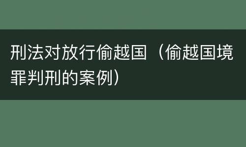 刑法对放行偷越国（偷越国境罪判刑的案例）