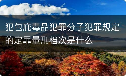 犯包庇毒品犯罪分子犯罪规定的定罪量刑档次是什么