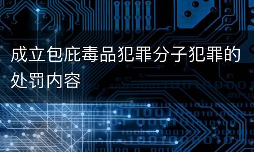 成立包庇毒品犯罪分子犯罪的处罚内容