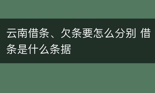 云南借条、欠条要怎么分别 借条是什么条据