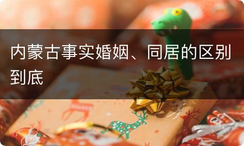 内蒙古事实婚姻、同居的区别到底