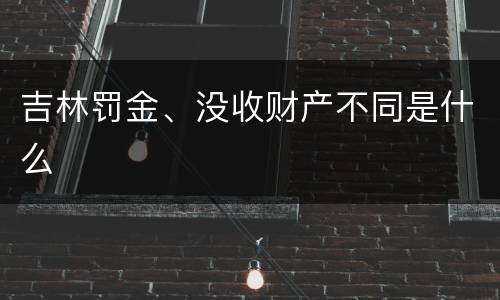 吉林罚金、没收财产不同是什么