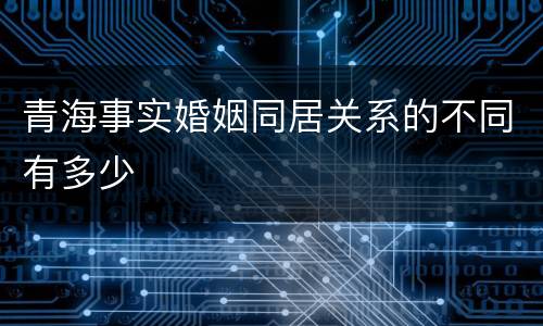 青海事实婚姻同居关系的不同有多少