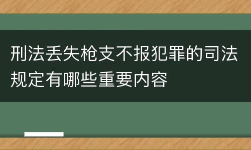 刑法丢失枪支不报犯罪的司法规定有哪些重要内容