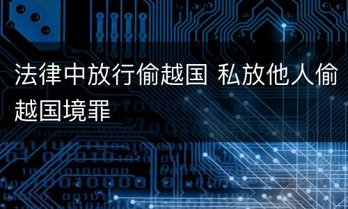 法律中放行偷越国 私放他人偷越国境罪