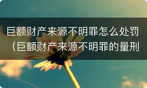巨额财产来源不明罪怎么处罚（巨额财产来源不明罪的量刑标准）