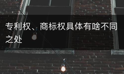 专利权、商标权具体有啥不同之处