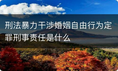 刑法暴力干涉婚姻自由行为定罪刑事责任是什么