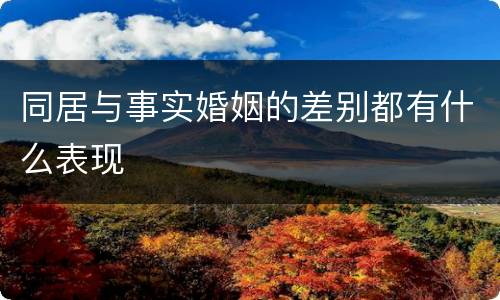 同居与事实婚姻的差别都有什么表现