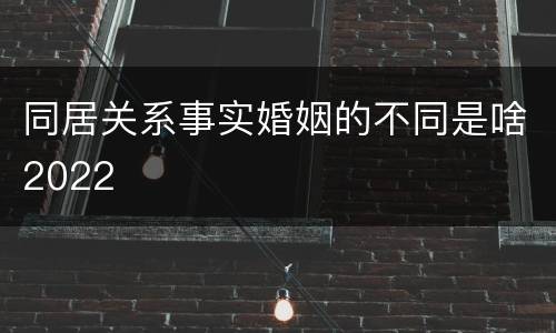 同居关系事实婚姻的不同是啥2022