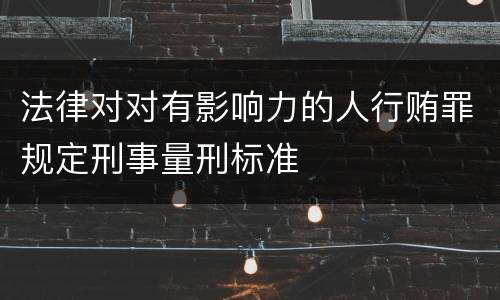 法律对对有影响力的人行贿罪规定刑事量刑标准