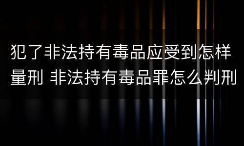 犯了非法持有毒品应受到怎样量刑 非法持有毒品罪怎么判刑