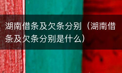 湖南借条及欠条分别（湖南借条及欠条分别是什么）