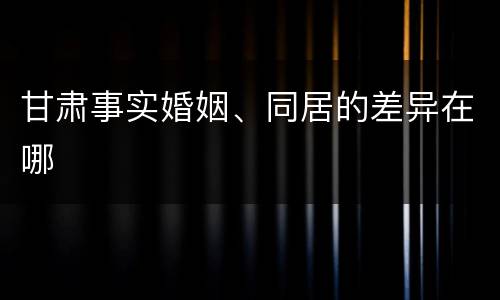 甘肃事实婚姻、同居的差异在哪