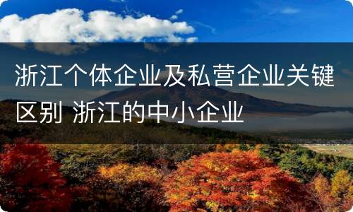 浙江个体企业及私营企业关键区别 浙江的中小企业
